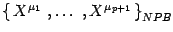 $\left\{\, X^{\mu_1}\ ,
\dots\ ,X^{\mu_{p+1}}\,\right\}_{NPB}$