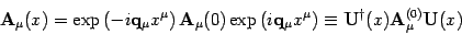 \begin{displaymath}
\mathbf{A}_\mu(x)=\exp\left(-i\mathbf{q }_\mu x^\mu \right) ...
...equiv
\mathbf{U}^\dagger(x) \mathbf{A}_\mu^{(0)} \mathbf{U}(x)
\end{displaymath}