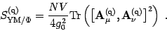 \begin{displaymath}
S^{(\mathrm{q})}_{\mathrm{YM/\Phi }}=
{NV\over 4g_0^2 } \ma...
...thrm{q})} ,
\mathbf{A}_\nu^{(\mathrm{q})} \right]^2
\right)\ .
\end{displaymath}