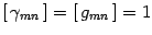 $[  \gamma_{mn}  ]=[  g_{mn}  ]=1$