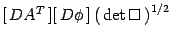 $[  DA^T ][  D\phi ] \left(  \det\Box
 \right)^{1/2}$