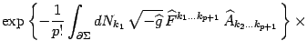 $\displaystyle \exp\left\{ - {1\over p!}\int_{\partial \Sigma} dN_{k_1} 
\sqrt{...
..., \widehat F^{k_1\dots k_{p+1}} \widehat
A_{k_2\dots k_{p+1}}  \right\}\times$