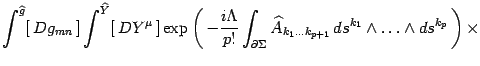 $\displaystyle \int^{\widehat g} [  Dg_{mn} ]
\int^{\widehat Y} [  DY^\mu ]
...
...hat
A_{k_1\dots k_{p+1}}  ds^{k_1}\wedge \dots\wedge ds^{k_p}  \right)
\times$