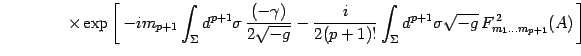 $\displaystyle \qquad\qquad\times\exp\left[  -i m_{p+1} \int_\Sigma d^{p+1}\sig...
...int_\Sigma
d^{p+1}\sigma
\sqrt{- g}
  F_{m_1\dots m_{p+1}}^{  2}(A)  \right]$