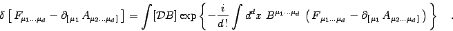 \begin{displaymath}
\delta\left[\, F_{\mu_1\dots\mu_d}-
\partial_{[\,\mu_1}\, A_...
...\,\mu_1 }\, A_{\mu_2 \dots\mu_d\,]}\,\right)\, \right\}\quad .
\end{displaymath}