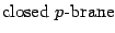 $\displaystyle \hbox{closed\ } \hbox{$p$-brane}$