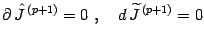 $\displaystyle \partial\, \hat{J} ^{\, (p+1)}=0\ ,\quad d\,\widetilde{J} ^{\, (p+1)}=0$