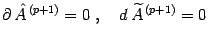 $\displaystyle \partial\, \hat{A} ^{\, (p+1)}=0\ ,\quad d\,\widetilde{A} ^{\, (p+1)}=0$