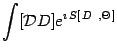 $\displaystyle \int [ {\mathcal{D}}D ]
e ^ {\imath\, S [ \, D\ , \Theta \, ] }$