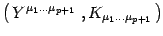 $\left(\,
{Y}^{\mu
_{1} \dots \mu _{p+1}}\ , K_{\mu_{1}\dots \mu _{p+1}}\,\right)$