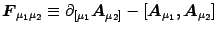 ${\mbox{\boldmath {$F$}}}_{\mu_1\mu_2}\equiv \partial_{[\mu_1}
{\mbox{\boldmath ...
...left[ {\mbox{\boldmath {$A$}}}_{\mu_1},
{\mbox{\boldmath {$A$}}}_{\mu_2}\right]$