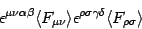 \begin{displaymath}
\epsilon ^{\mu \nu \alpha \beta} \langle F _{\mu \nu} \rang...
...^{\rho \sigma \gamma \delta} \langle F _{\rho \sigma}
\rangle
\end{displaymath}