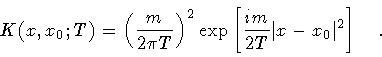 \begin{displaymath}K ( x , x _{0} ; T)
=
\left( \frac{m}{2 \pi T} \right) ^{2}...
...\frac{i m}{2 T}
\vert x - x _{0} \vert ^{2}
\right]
\quad .
\end{displaymath}