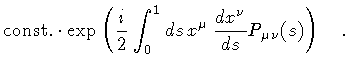 $\displaystyle {\mathrm{const.}}
\cdot
\exp
\left(
\frac{i}{2}
\int _{0} ^{1} ds \, x ^{\mu} \,
\frac{d x ^{\nu}}{d s} P _{\mu \nu} (s)
\right)
\quad .$