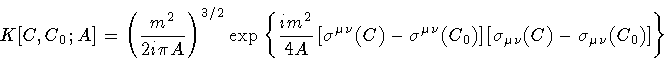 \begin{displaymath}K [ C , C _{0} ; A ]
=
\left(
\frac{m ^{2}}{2 i \pi A}
\r...
... _{\mu \nu} (C) - \sigma _{\mu \nu} (C _{0}) \right]
\right\}
\end{displaymath}