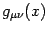 $\displaystyle g _{\mu \nu} (x)$