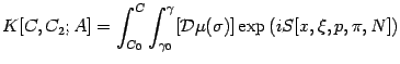 $\displaystyle K [C , C _{2} ; A]
=
\int _{C _{0}} ^{C}
\int _{\gamma _{0}} ^{\gamma} [{\mathcal{D}} \mu (\sigma)]
\exp \left( i S [x , \xi , p , \pi , N] \right)$