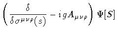 $\displaystyle \left(
\frac{\delta}{\delta \sigma ^{\mu \nu \rho} (s)}
-
i
g
A _{\mu \nu \rho} \right)
\Psi[S]$