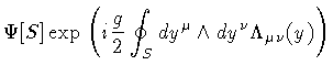 $\displaystyle \Psi [S]
\exp
\left(
i
\frac{g}{2}
\oint _{S} d y ^{\mu} \wedge d y ^{\nu}
\Lambda _{\mu \nu} (y)
\right)$