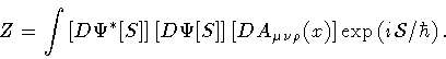 \begin{displaymath}Z
=
\int \left[ D \Psi ^{*} [S] \right] \left[ D \Psi [S] \...
...\nu \rho}(x) ]
\exp \left( i {\mathcal{S}} / \hbar \right)
.
\end{displaymath}