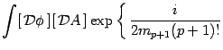 $\displaystyle \int[\, {\cal D} \phi\, ] [ \, {\cal D} A \, ]
\exp \left\{ \, {i\over 2m_{p+1}(p+1)!}
\right.$