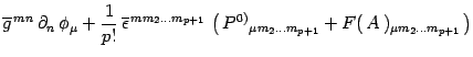 $\displaystyle \overline{g}^{ \, mn}\, \partial_n \, \phi_\mu +
{1\over p!}\, \o...
...\, P^{0)}{}_{\mu m_2\dots m_{p+1}}+
F(\, A\, )_{\mu m_2\dots m_{p+1}}\, \right)$