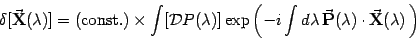 \begin{displaymath}
\delta[\vec{\bf X}(\lambda)]=({\rm {}const.})\times
\int [{\...
...  \vec{\bf P} (\lambda) \cdot
\vec{\bf X} (\lambda)  \right)
\end{displaymath}