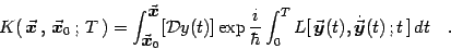 \begin{displaymath}
K(  {\vec{\mbox{\boldmath {$x$}}}}  ,   {\vec{\mbox{\bold...
...,{\dot{\vec{\mbox{\boldmath {$y$}}}}}(t)  ; t ]  dt \quad .
\end{displaymath}