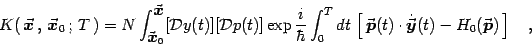 \begin{displaymath}
K(  {\vec{\mbox{\boldmath {$x$}}}}  ,   {\vec{\mbox{\bol...
...}}}}(t)-
H_0({\vec{\mbox{\boldmath {$p$}}}})  \right]
\quad ,
\end{displaymath}