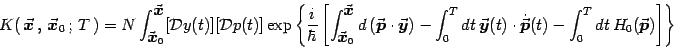 \begin{displaymath}
K(\, {\vec{\mbox{\boldmath {$x$}}}}\, , \, {\vec{\mbox{\bold...
...nt_0^T dt\, H_0({\vec{\mbox{\boldmath {$p$}}}})\right]\right\}
\end{displaymath}