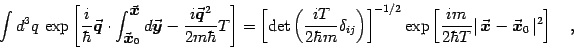 \begin{displaymath}
\int d^3 q  \exp\left[ {i\over\hbar}{\vec{\mbox{\boldmath {...
...}}}}-{\vec{\mbox{\boldmath {$x$}}}}_0  \vert^2\right]
\quad ,
\end{displaymath}