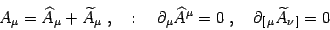 \begin{displaymath}
A_\mu= \widehat A_\mu +\widetilde A_\mu  ,\quad:\quad
\pa...
...at A^\mu=0 ,\quad
\partial_{[ \mu}\widetilde A_{\nu ]}=0 
\end{displaymath}