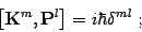 \begin{displaymath}
\left[ \mbox{\textit{\bf {}K}}^m, \mbox{\textit{\bf {}P}}^l \right]=i \hbar \delta^{ml}\ ;
\end{displaymath}