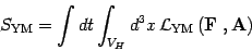 \begin{displaymath}
S_{\mathrm{YM}}=\int dt\int_{V_H} d^3x \,
{\mathcal{L}}_{\ma...
...ft( \mbox{\textit{\bf {}F}}\ , \mbox{\textit{\bf {}A}} \right)
\end{displaymath}