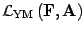 ${\mathcal{L}}_{\mathrm{YM}}\left( \mbox{\textit{\bf {}F}}, \mbox{\textit{\bf {}A}} \right)$