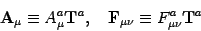 \begin{displaymath}
\mbox{\textit{\bf {}A}}_\mu\equiv A_\mu^a\mbox{\textit{\bf {...
...bf {}F}}_{\mu\nu}\equiv
F_{\mu\nu}^a\mbox{\textit{\bf {}T}}^a
\end{displaymath}