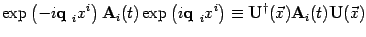 $\displaystyle \exp\left(-i\mbox{\textit{\bf {}q }}_i x^i \right)
\mbox{\textit{...
...}}^\dagger(\vec x) \mbox{\textit{\bf {}A}}_i(t) \mbox{\textit{\bf {}U}}(\vec x)$