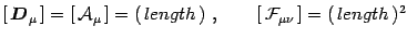 $\displaystyle \left[\,{\mbox{\boldmath{$D$}}}_\mu\,\right]= \left[\,{\cal A }_\...
...]
= (\,length\,)\ ,
\qquad \left[\,{\cal F }_{\mu\nu}\,\right]= (\,length\, )^2$