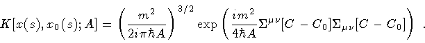 \begin{displaymath}K [ x (s) , x _{0} (s) ; A ]
=
\left(
\frac{m ^{2}}{2 i \p...
...[ C - C _{0} ]
\Sigma _{\mu \nu} [ C - C _{0} ]
\right)
\ .
\end{displaymath}