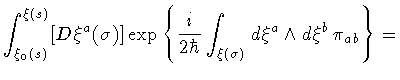 $\displaystyle \int _{\xi _{0} (s)} ^{\xi (s)} [D \xi ^{a} (\sigma)]
\exp
\left\...
...\hbar}
\int _{\xi (\sigma)} d \xi ^{a} \wedge d\xi ^{b}
\,
\pi _{ab}
\right\}
=$