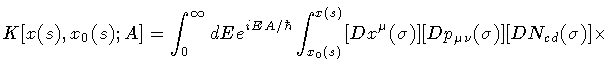 $\displaystyle K[ x (s) , x _{0} (s) ; A ]
=
\int _{0} ^{\infty} d E
e ^{i E A /...
... (s)}
[D x ^{\mu} (\sigma)]
[Dp _{\mu \nu} (\sigma)]
[DN _{cd} (\sigma)]
\times$