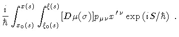 $\displaystyle \frac{i}{\hbar}
\int _{x _{0} (s)} ^{x(s)}
\int _{\xi _{0} (s)} ^...
...sigma)]
p _{\mu \nu} x^{\, \prime \, \nu}
\exp
\left( {i S / \hbar} \right) \ .$