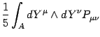 $\displaystyle {1\over 5}\int_A dY^\mu\wedge dY^\nu P_{\mu\nu}$