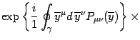 $\displaystyle \exp\left\{{i\over 1}
\oint_\gamma\overline y^\mu d \overline y^\nu P_{\mu\nu}
(\overline y)\right\}\times$