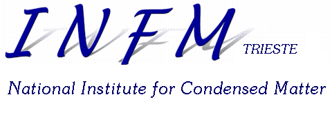 INFM at Trieste