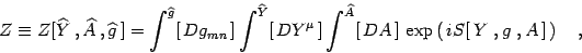 \begin{displaymath}
Z\equiv Z[\widehat Y ,\widehat A , \widehat g ] =
\int^{\...
..., DA ]  \exp\left(  i S[  Y , g , A ] 
\right)
\quad ,
\end{displaymath}