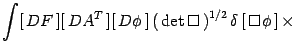 $\displaystyle \int[  DF ] [  DA^T ] [  D\phi ]
\left(  \det\Box  \right)^{1/2}
\delta\left[  \Box\phi \right]
\times$