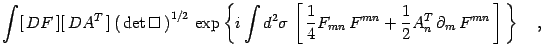 $\displaystyle \int [  DF ][  DA^T ]
\left(  \det\Box  \right)^{1/2}
 \ex...
...{mn} 
F^{mn}+{1\over 2}A^T_n  \partial_m  F^{mn}  \right] \right\}
\quad ,$