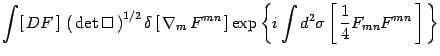 $\displaystyle \int[  DF ] \left(  \det\Box  \right)^{1/2}
\delta\left[  \...
...\exp\left\{ i\int d^2\sigma \left[  {1\over 4}F_{mn}
F^{mn} \right] \right\}$