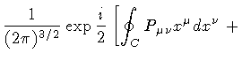$\displaystyle \frac{1}{(2 \pi) ^{3/2}}
\exp
\frac{i}{2}
\left[
\oint _{C} P_{\mu\nu} x ^{\mu} dx ^{\nu}
\right.
+$